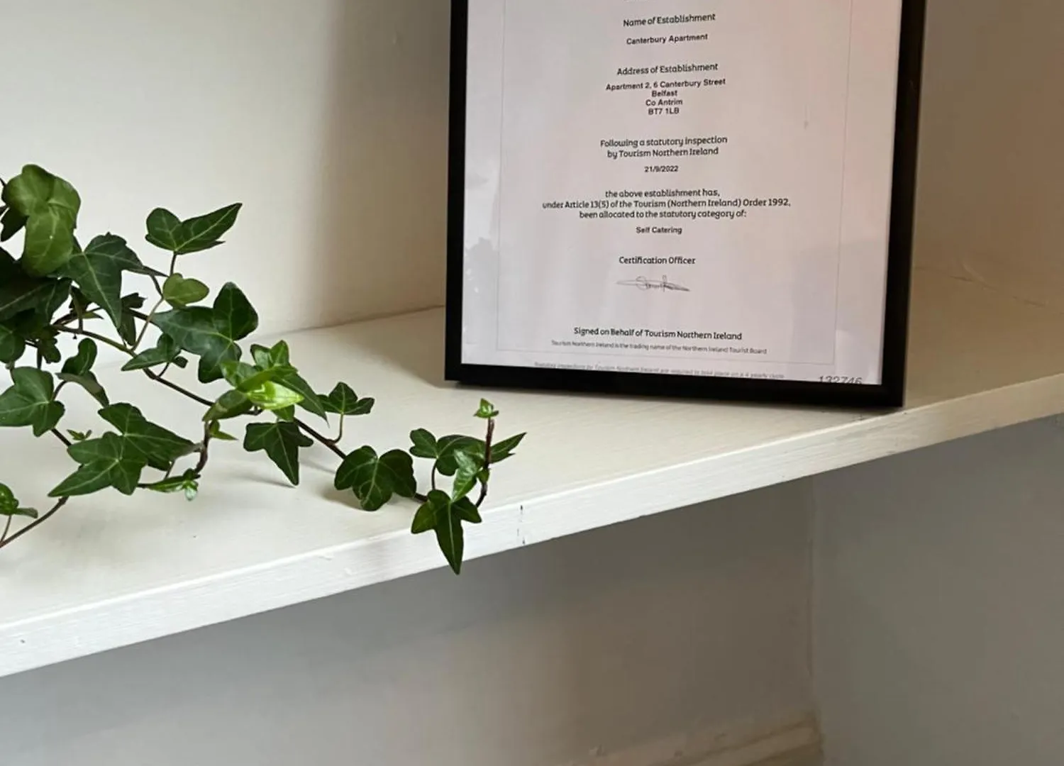 Elderberry Apartment 贝尔法斯特 英国